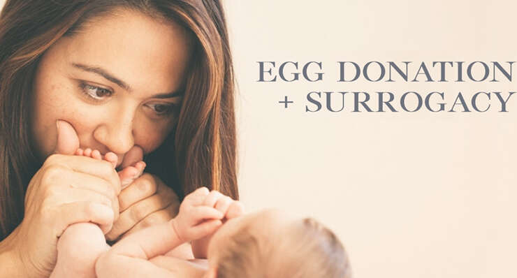 Egg Donor and Surrogacy